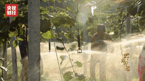4.gif
