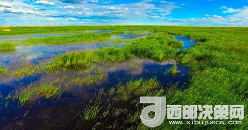 呼倫湖濕地。吳勇攝