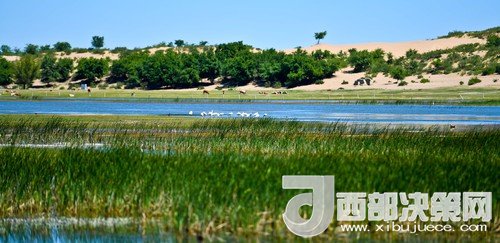 阿魯科爾沁保護區(qū)濕地沙丘。吳勇攝