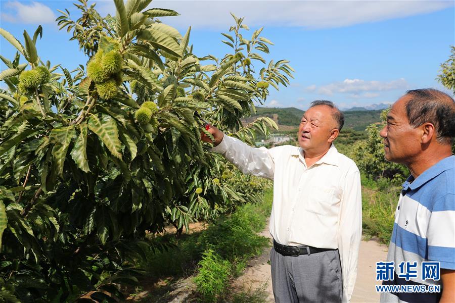 （新華全媒頭條·走向我們的小康生活·圖文互動）（11）長城腳下，小康村串成“珍珠鏈”