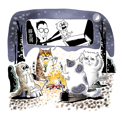 ▲物理學(xué)家薛定諤曾用一只貓比喻量子疊加。圖片來源：視覺中國