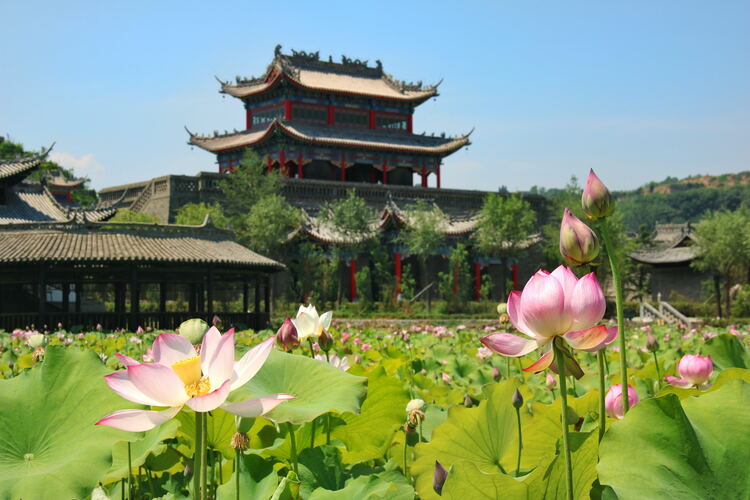 【云游渭南】心中若有桃花源，此處便是水云間！待疫情散盡，一起來渭南桃花源賞美景、觀民俗、享美食_fororder_2
